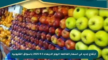 ارتفاع جديد في أسعار الفاكهة اليوم الأربعاء 3-9-2025 بأسواق القليوبية